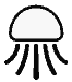 Jelly Fish